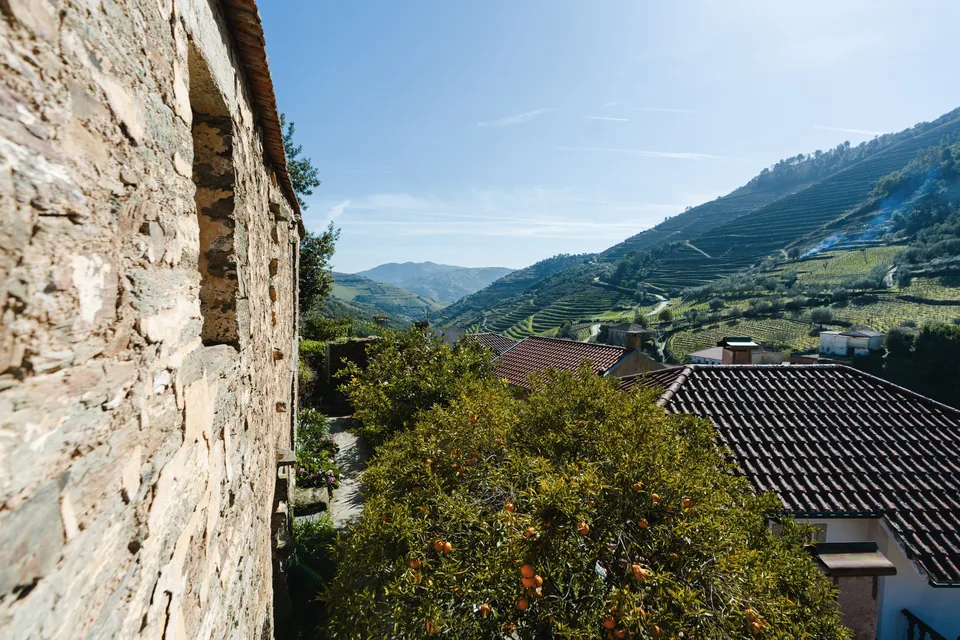 Stone wall and village roofs with terraced vineyard slopes beyond